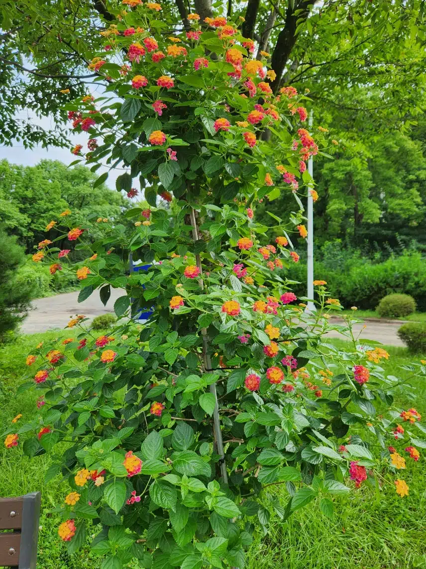 오늘도 이름 모르는 꽃