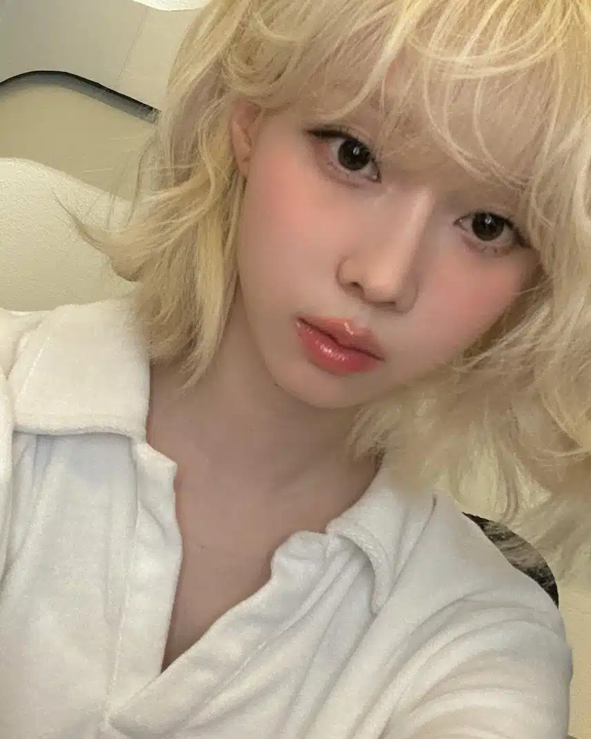 민들레 홀씨같은 윈터 인스타 업