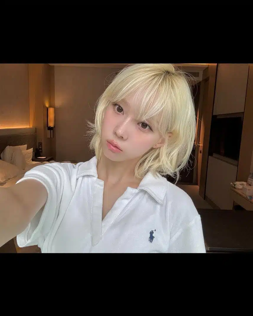 민들레 홀씨같은 윈터 인스타 업