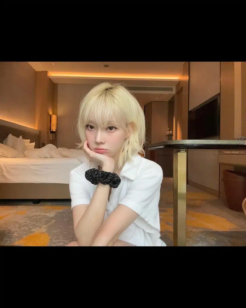 민들레 홀씨같은 윈터 인스타 업
