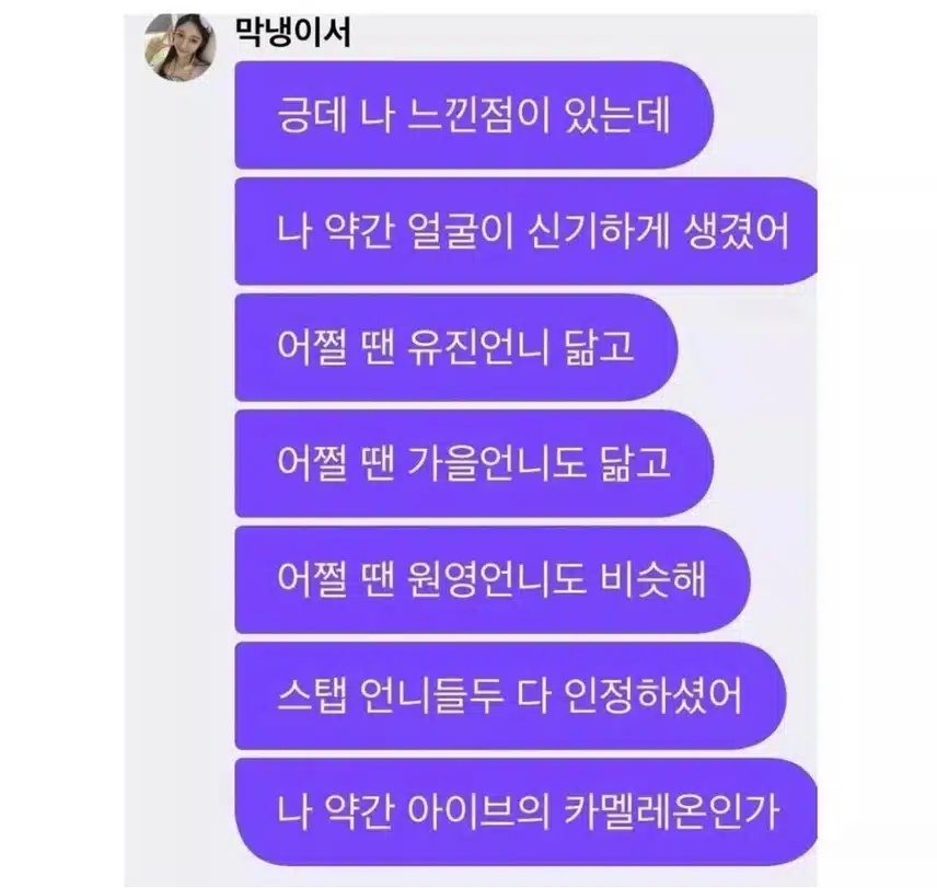 아이브의 메타몽 이서
