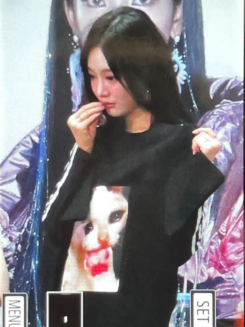 닝닝 고양이