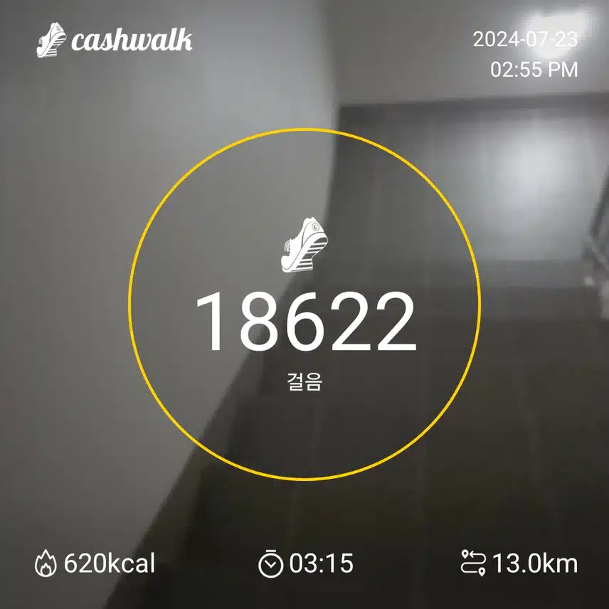 인증