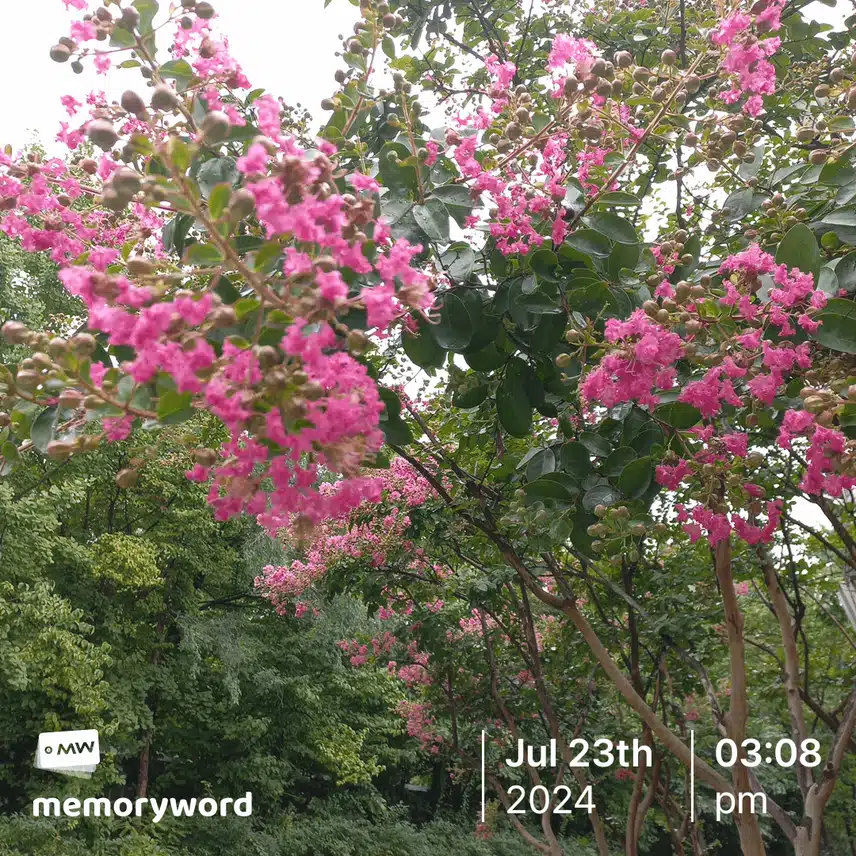 퇴근길에 예쁜꽃2