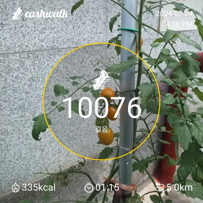 인증 