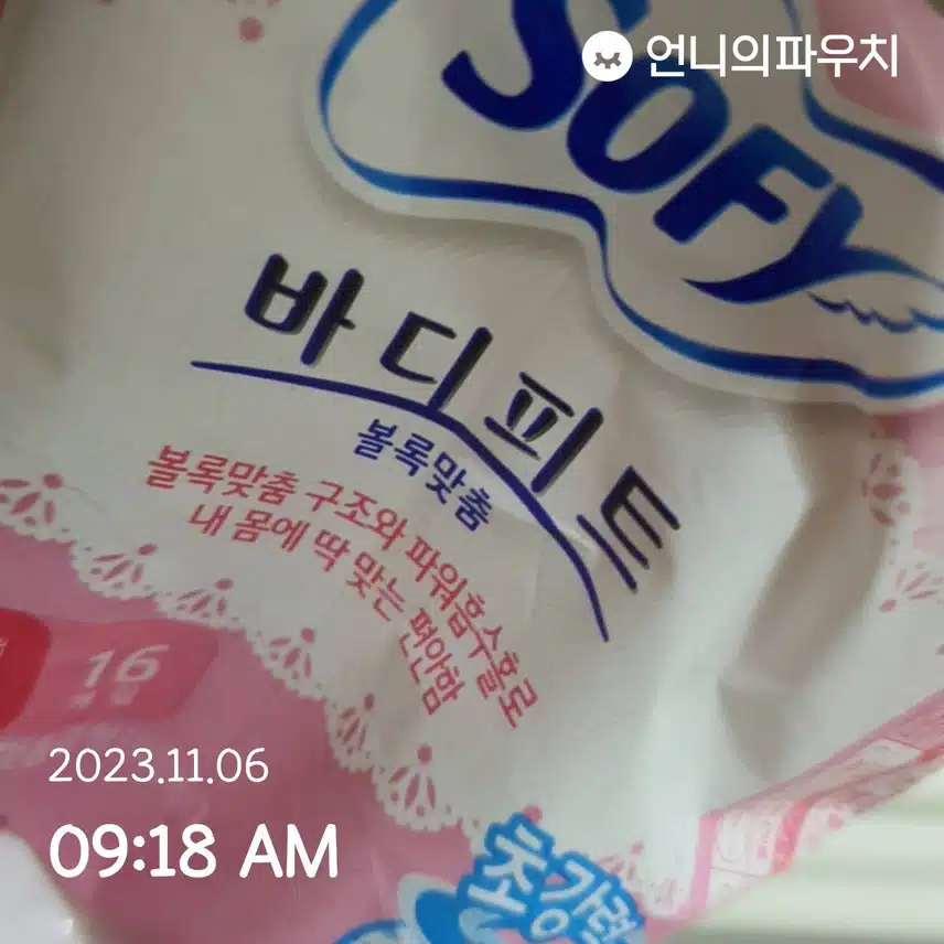 바디피트 소피