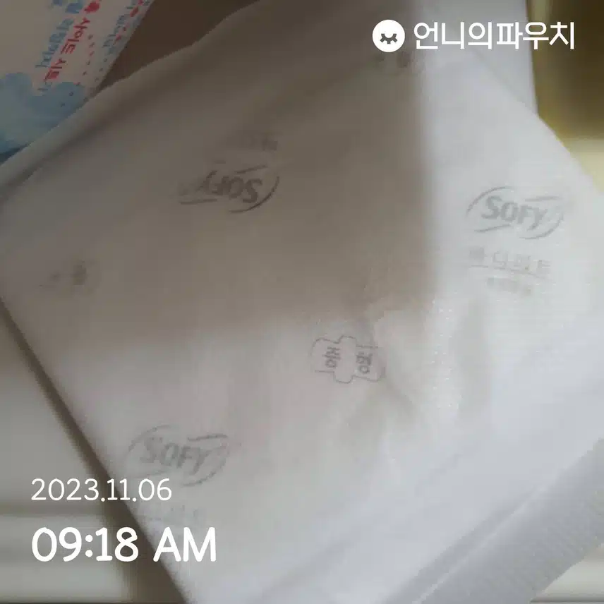 바디피트 소피