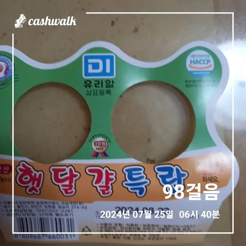 해썹마크14일차인증