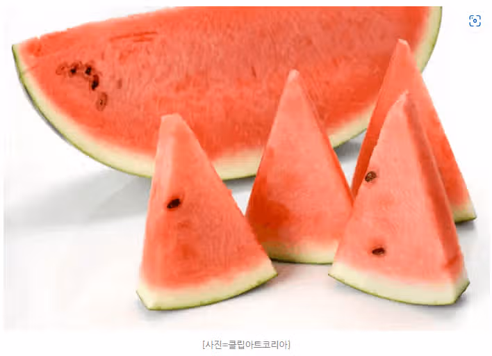 피로회복제 따로 필요없이, 이 여름 과일 챙겨 먹자!!