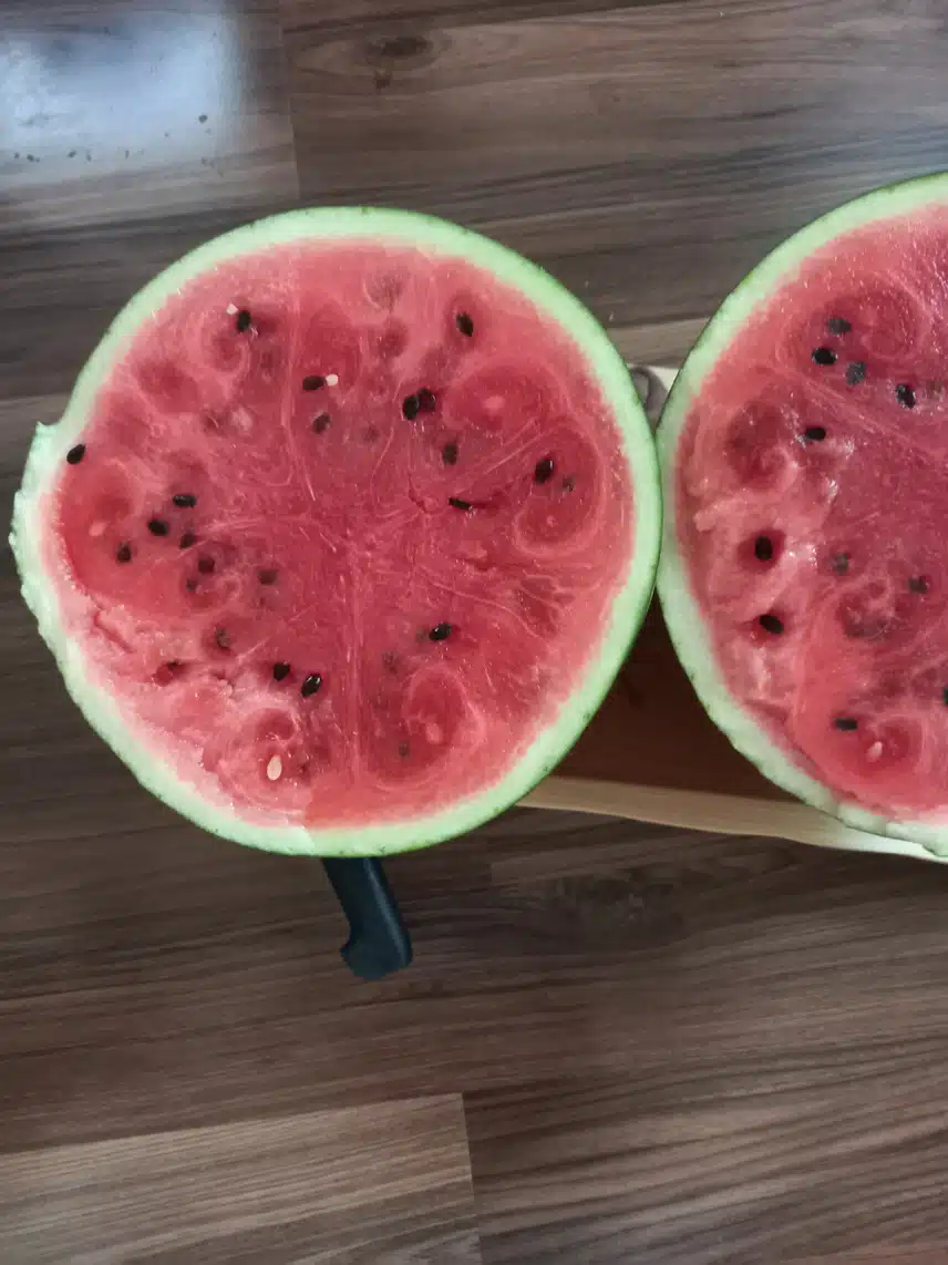 캐시딜5회차ㅡ수박 사세요