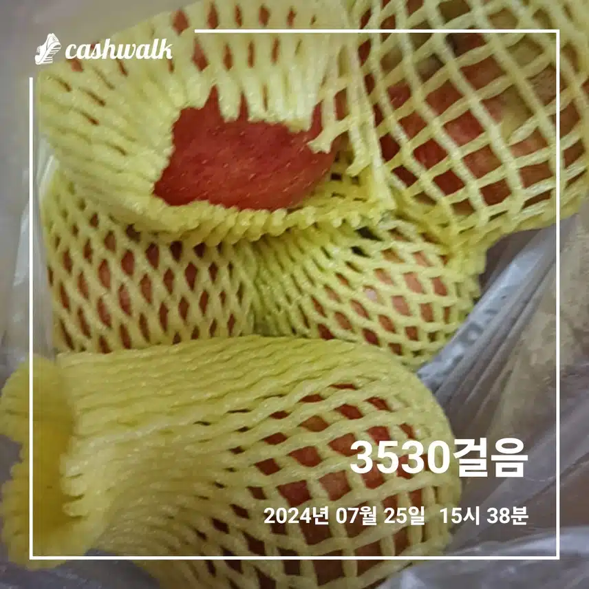 사과 바삭하고 맛있네요