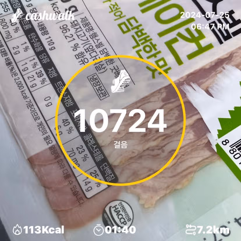 14일차