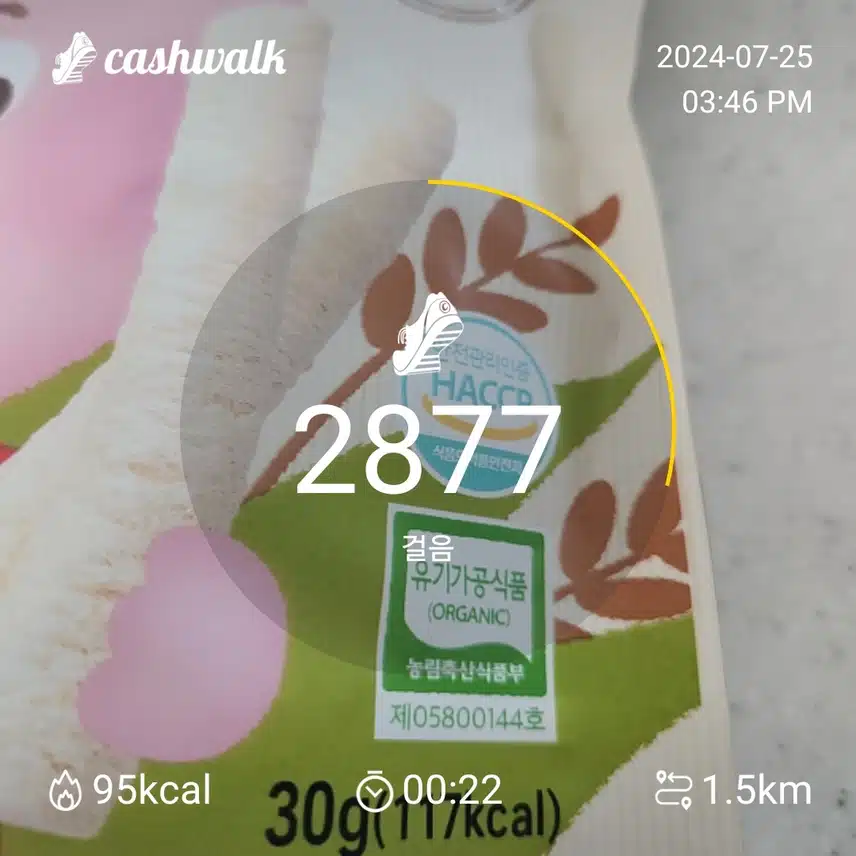 인증