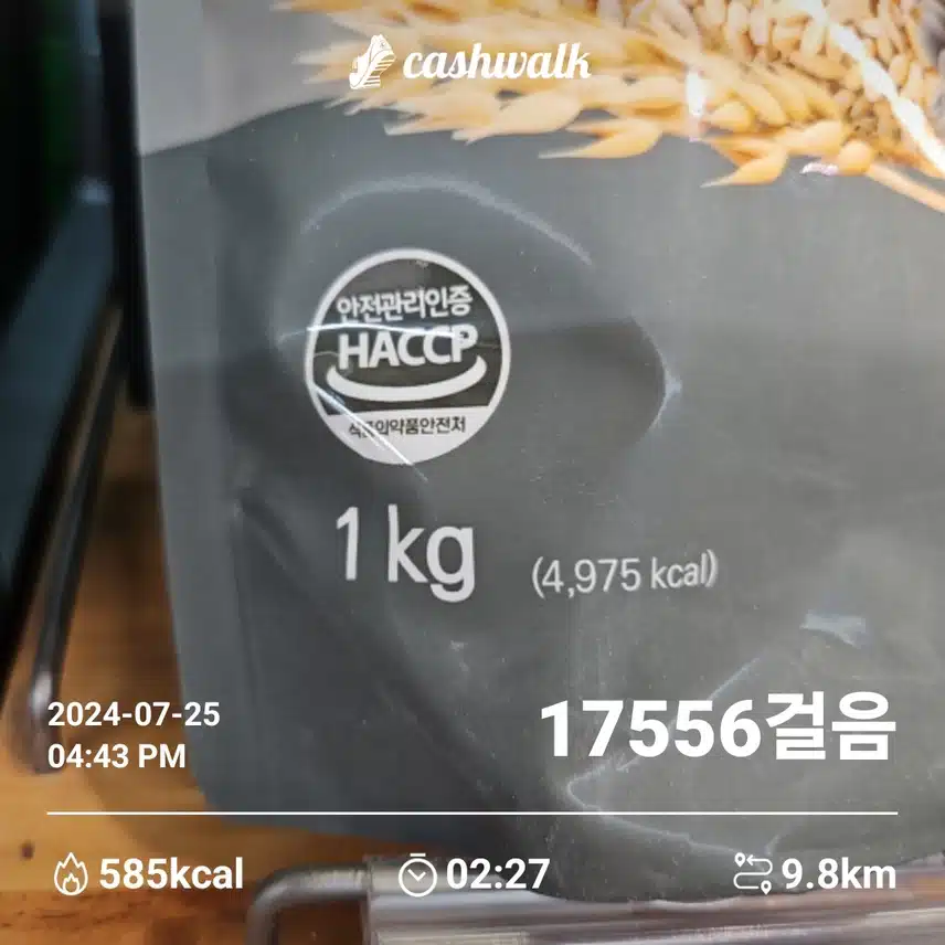12일차 인증