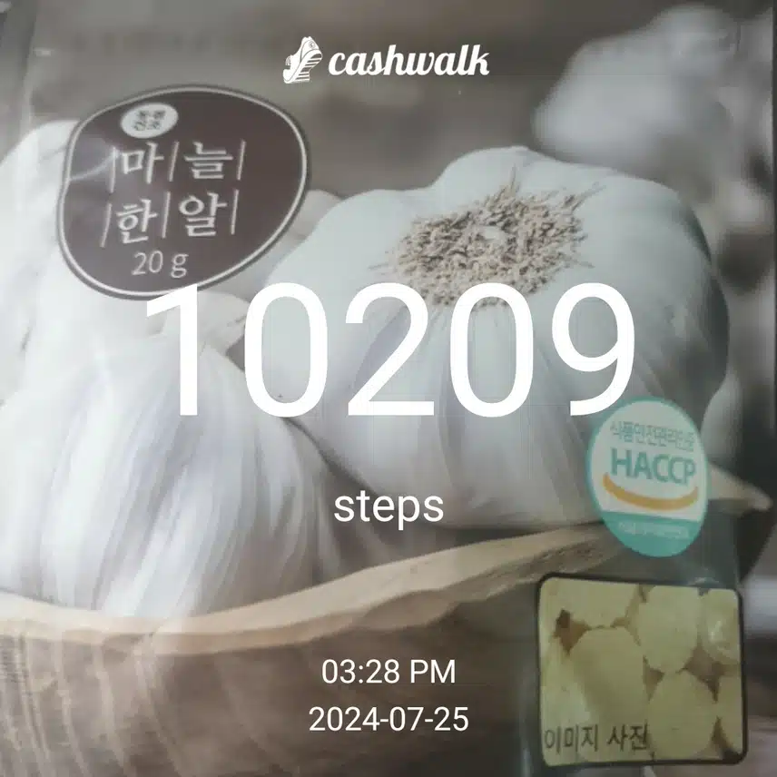 해썹인증14일차인증