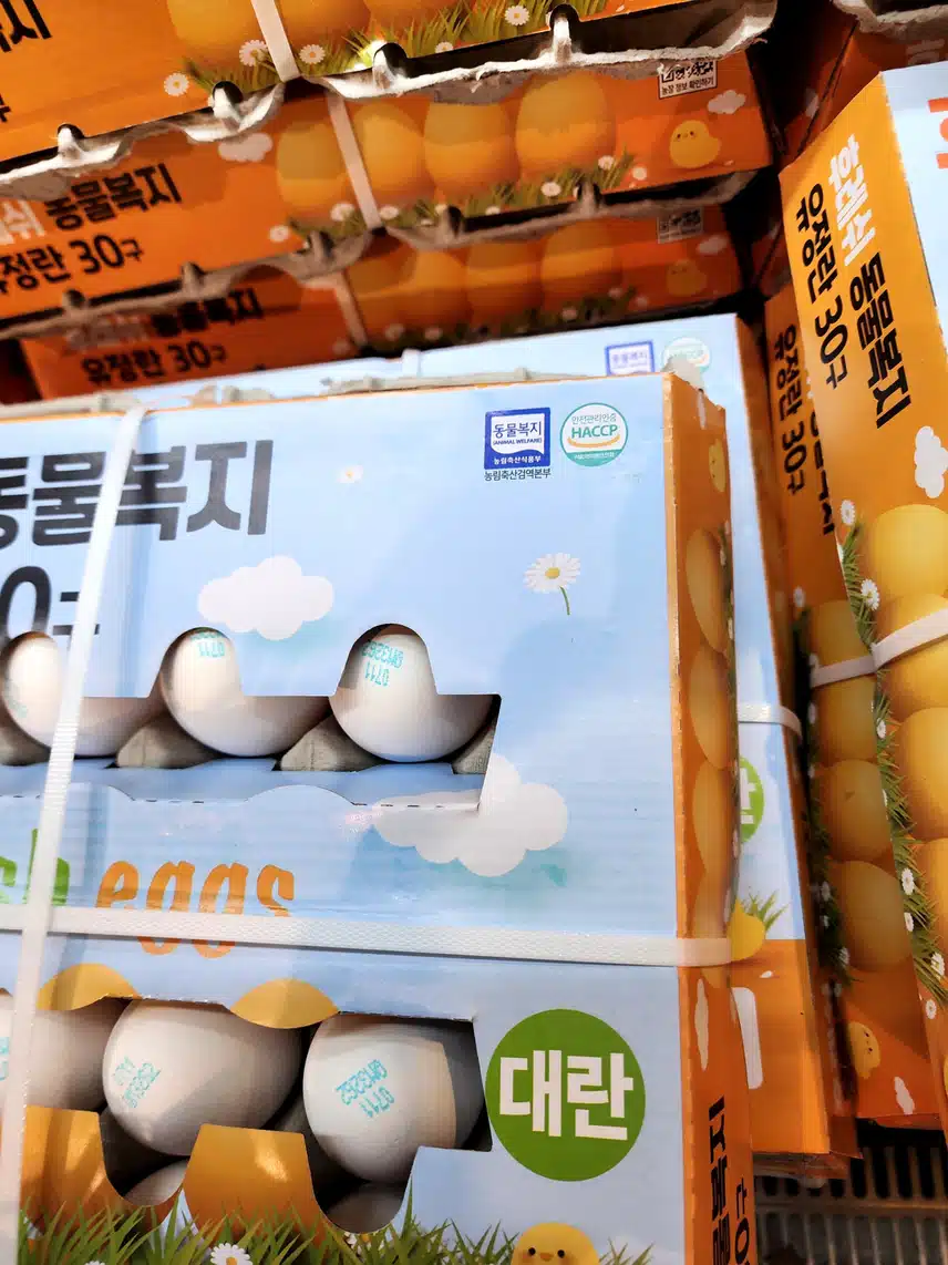 인증