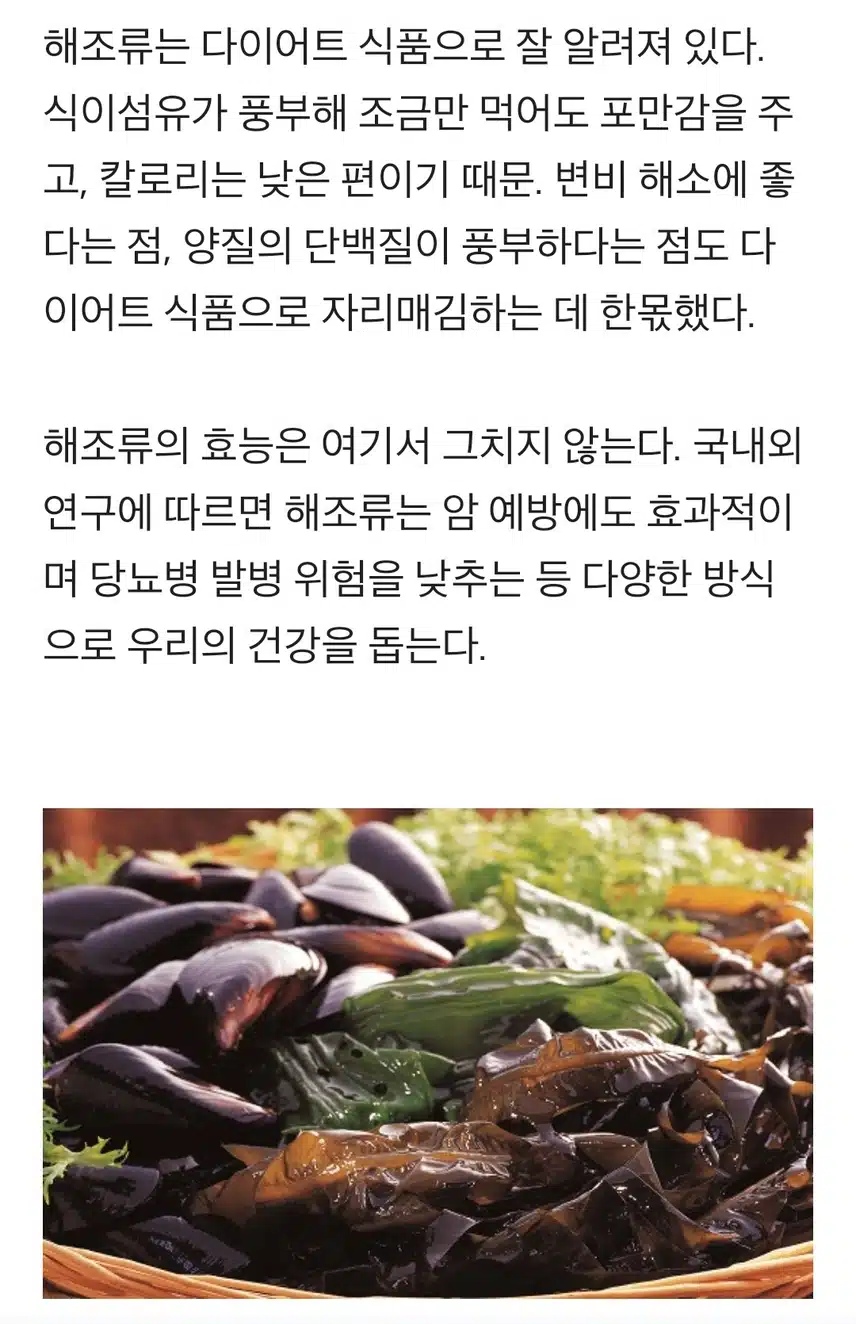 “해조류, 이런 효능까지 있었어?”…'이런 사람'은 피해야