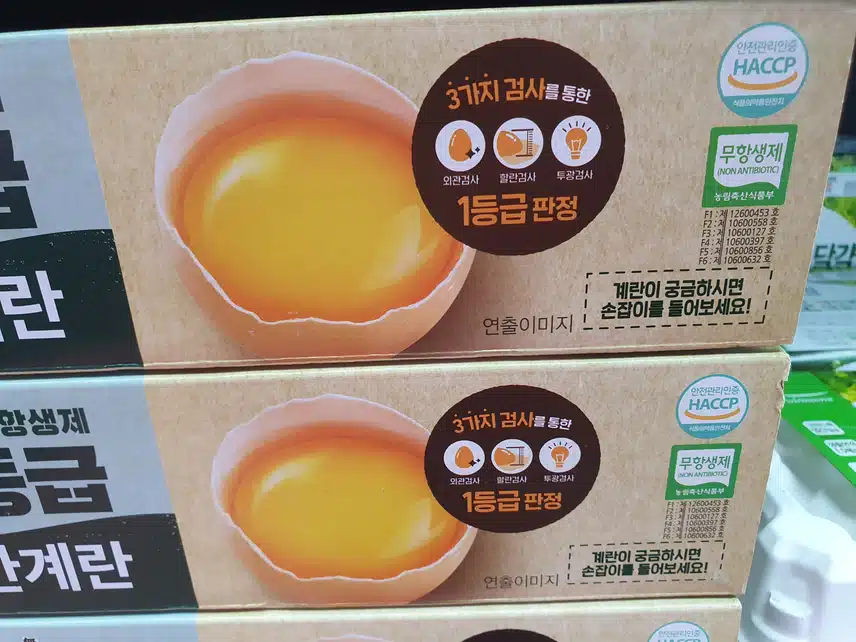 인증