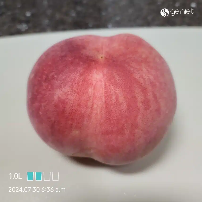 아침에 밥 못먹어요 ㅠㅠ