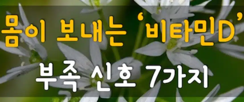 몸이 보내는 비타민D 부족신호 7가지