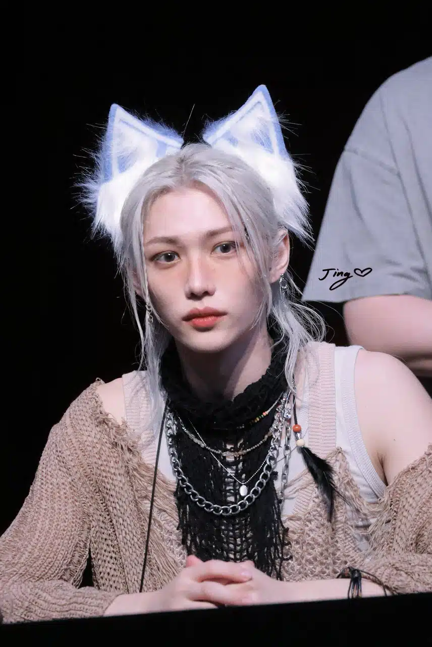 은색 여우가 된 필릭스