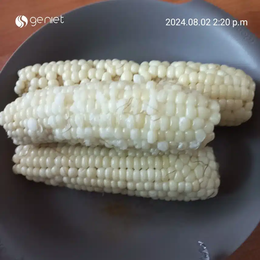 맛있는 옥수수