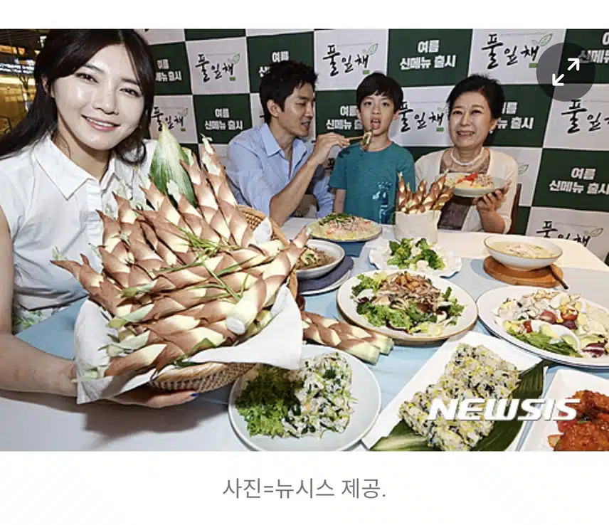 폴리페놀 고함량 ! 해죽순에 대한 모든 것