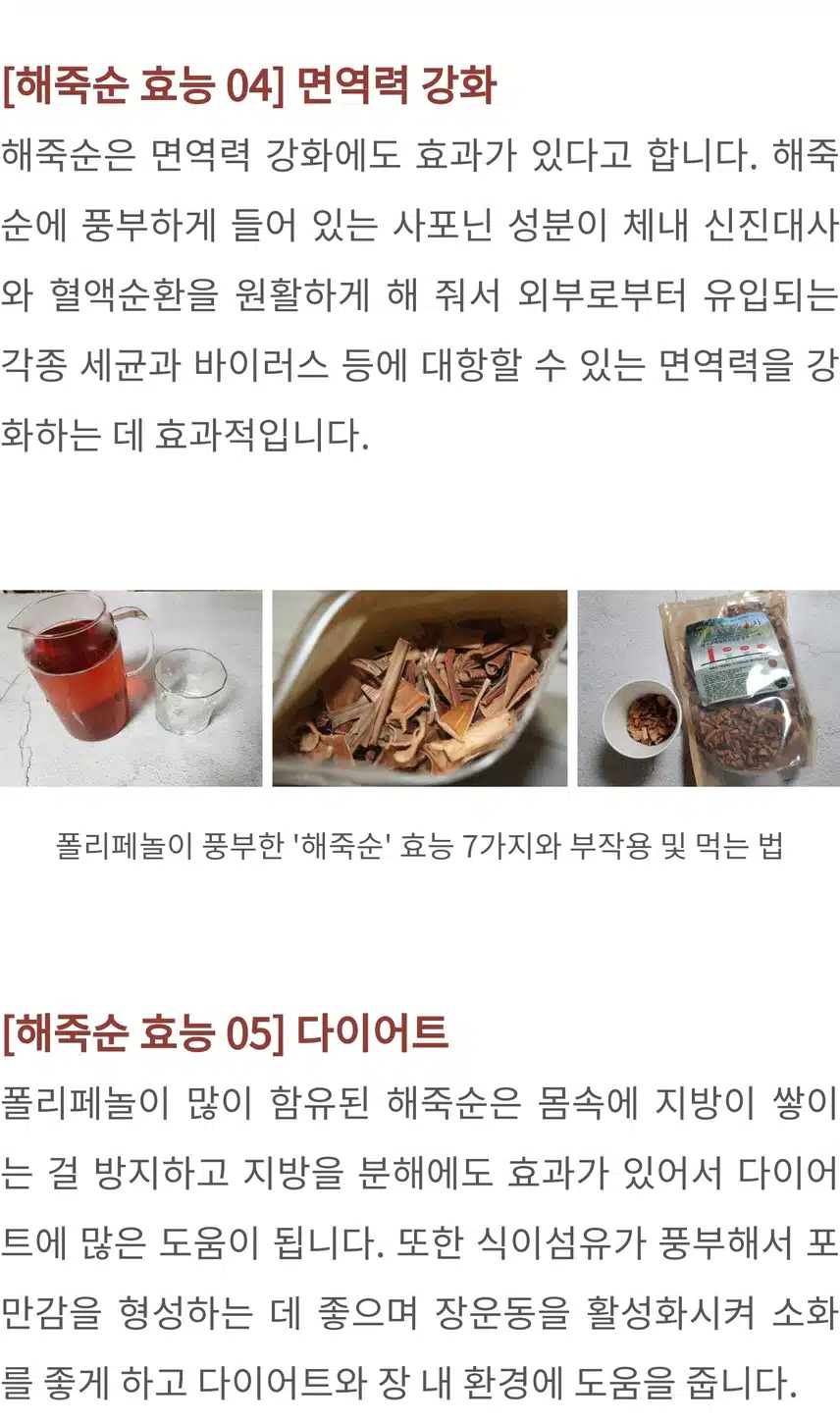 폴리페놀 고함량 ! 해죽순에 대한 모든 것