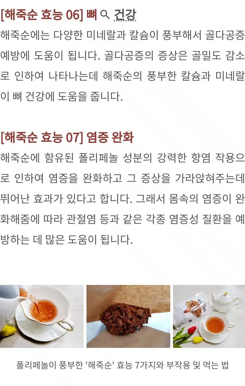 폴리페놀 고함량 ! 해죽순에 대한 모든 것
