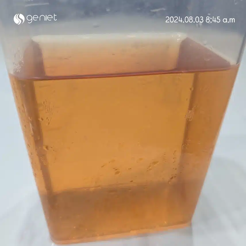 폴리페놀 고함량 ! 해죽순에 대한 모든 것