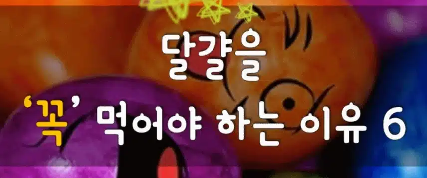 달걀을 꼭 먹어야하는 이유 6가지