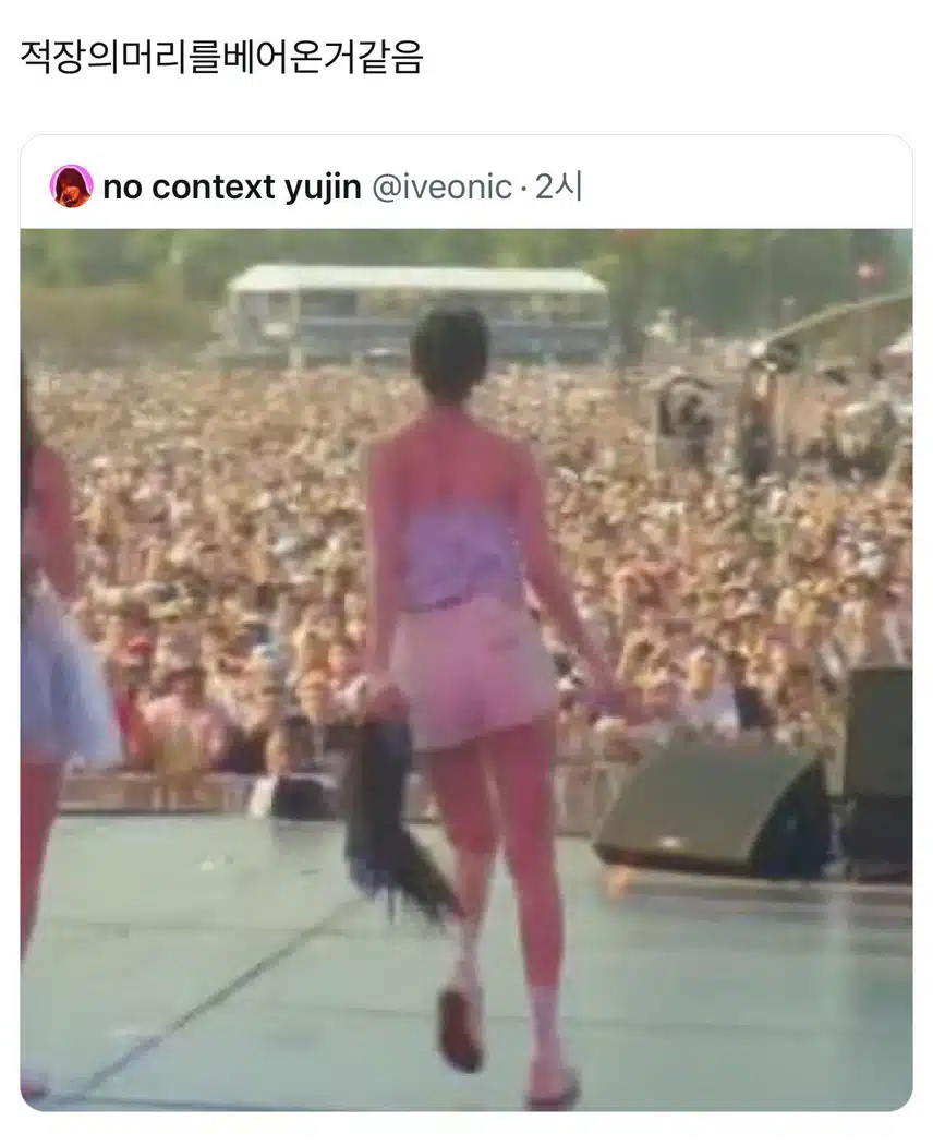 적장의 머리를 베어온거같다는 롤라팔루자 안유진