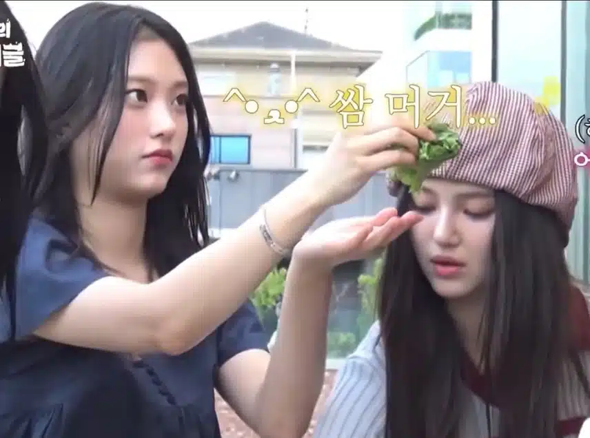 고양이가 싸주는쌈🐱🌿