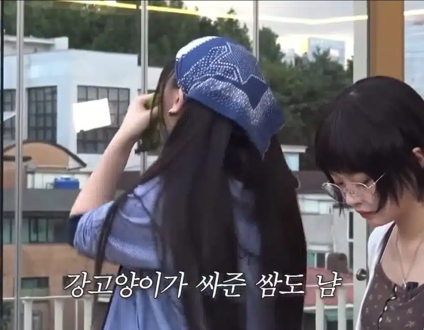 고양이가 싸주는쌈🐱🌿