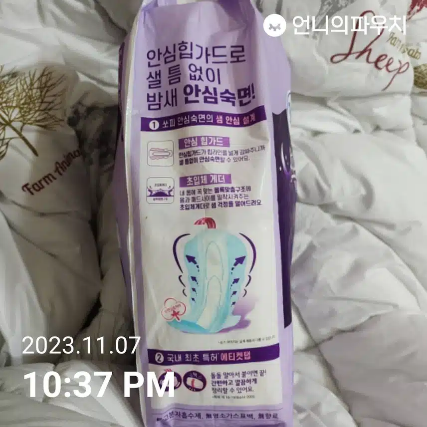 바디피트 오버나이트