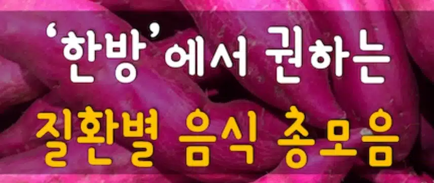 한방에서 권하는 질환별음식 모음