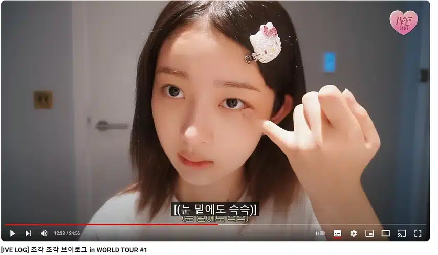 [IVE LOG] 조각 조각 브이로그 in WORLD TOUR #1