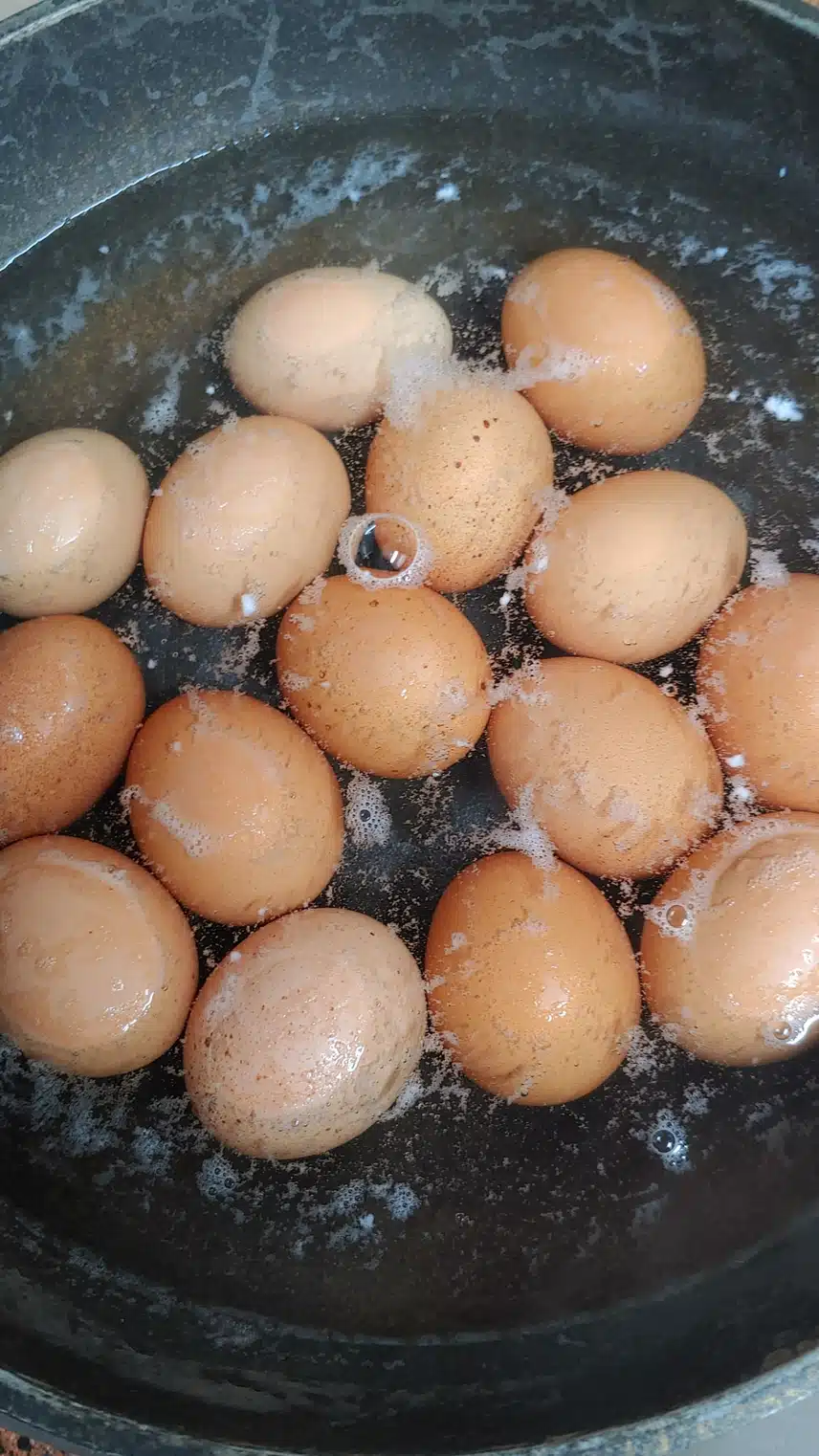 마약 계란장