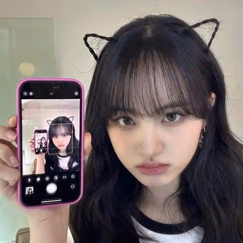 고양이의 날 리즈 작년버전