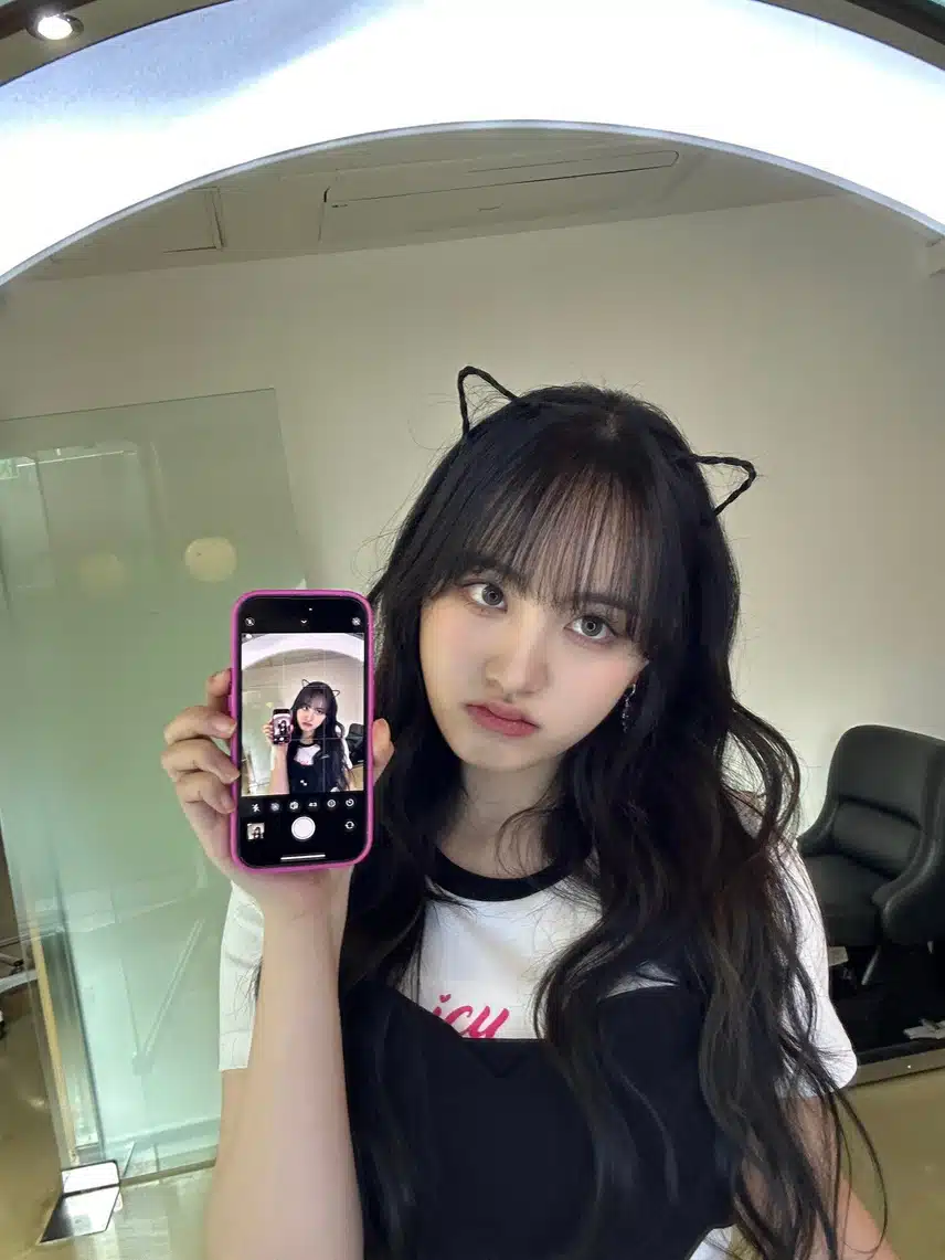고양이의 날 리즈 작년버전
