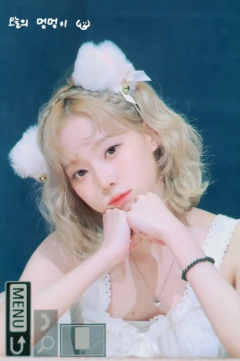 대만 팬싸 윈터! 