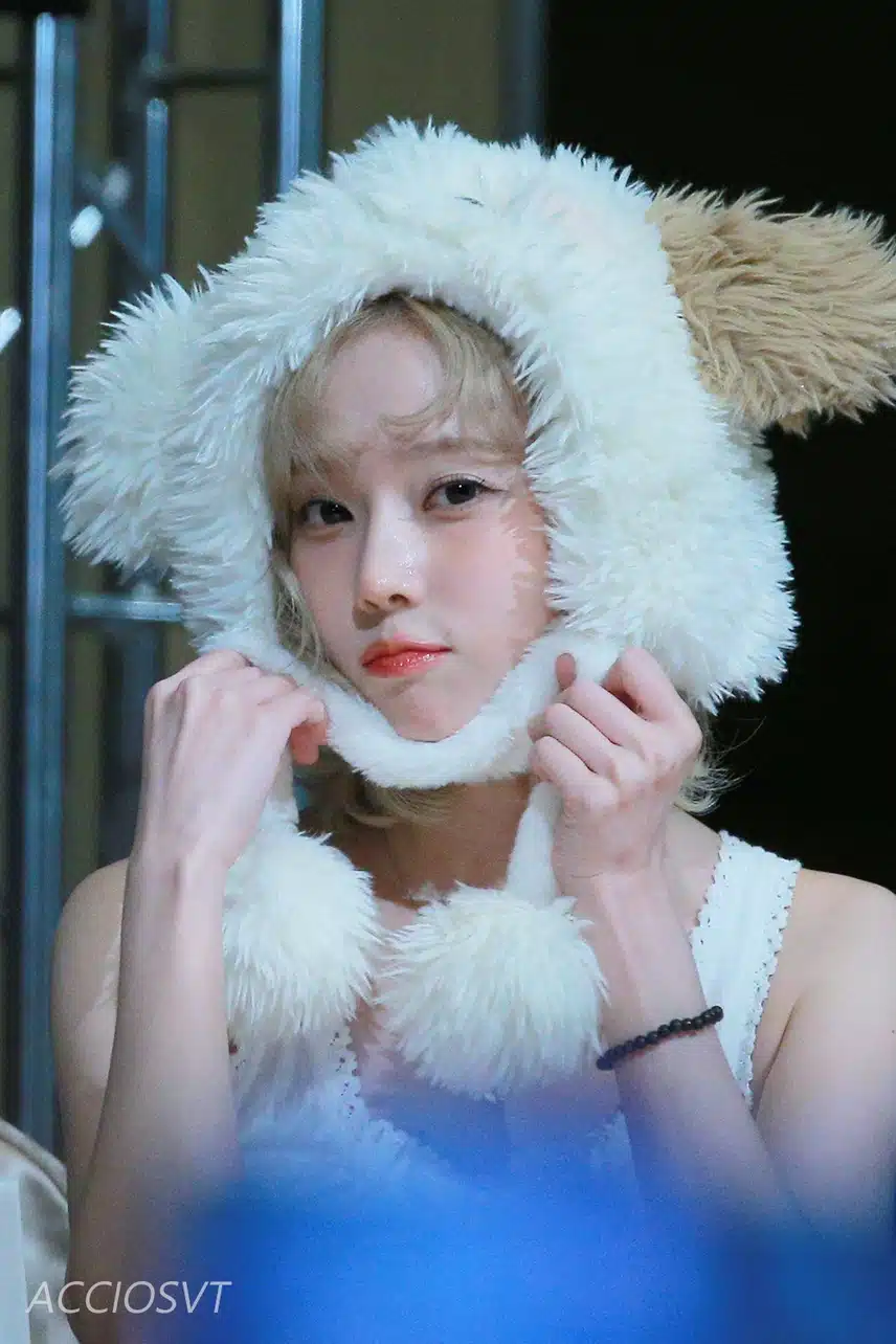 대만 팬싸 윈터! 
