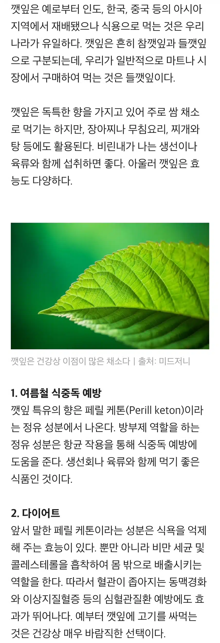 “살도 빠진다?”…한국에서만 인기 있는 ‘이 채소’의 효능 5가지 