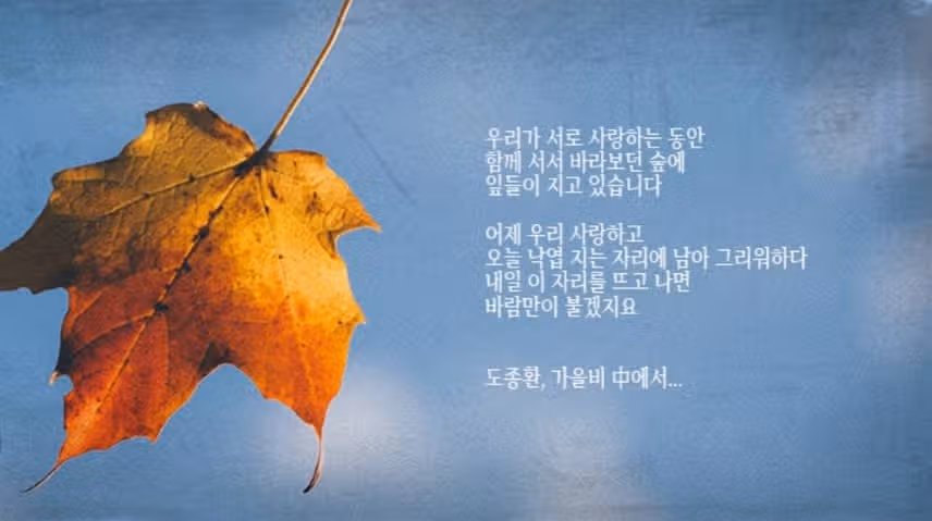♥황영웅님과  꽃구경을 떠나려고 합니다