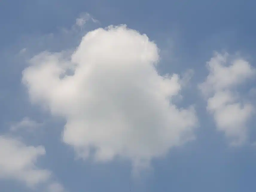 여유로운 주말 아침