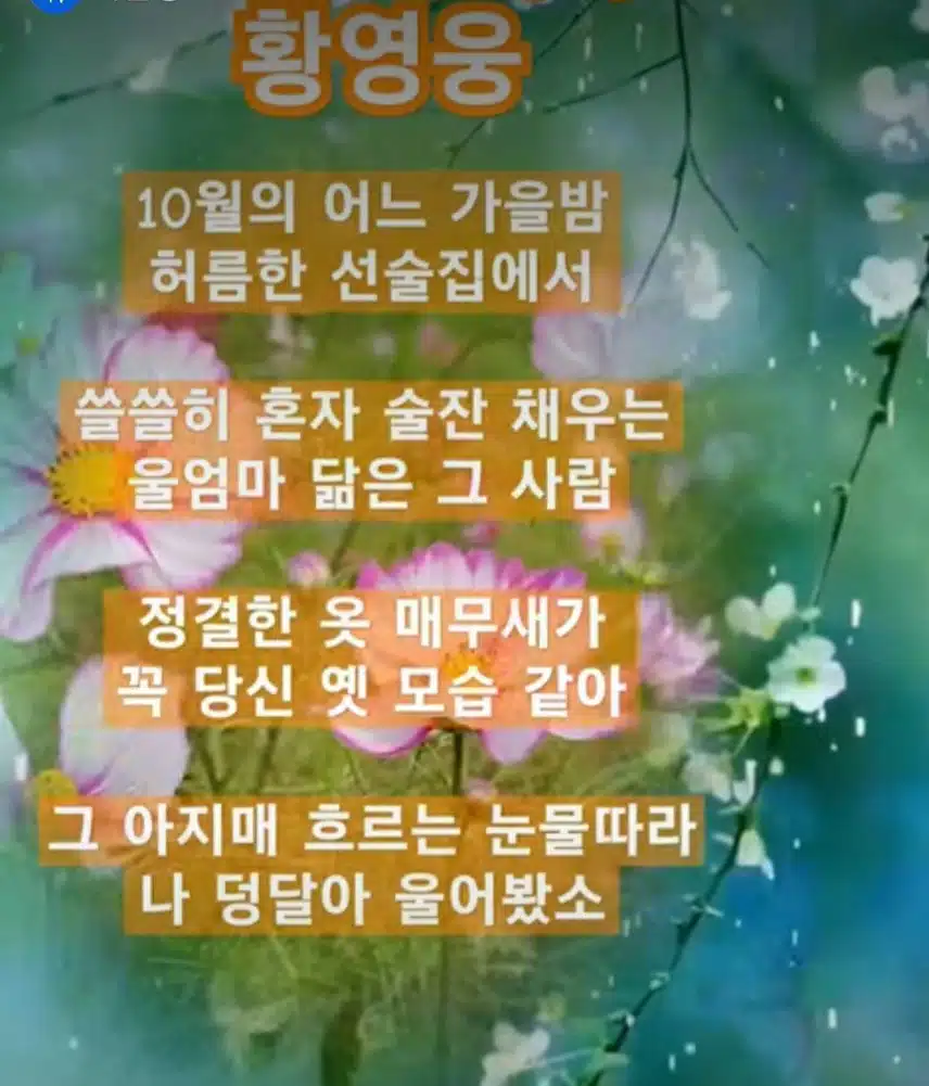 ♥황영웅님과  꽃구경을 떠나려고 합니다