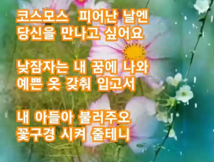 ♥황영웅님과  꽃구경을 떠나려고 합니다