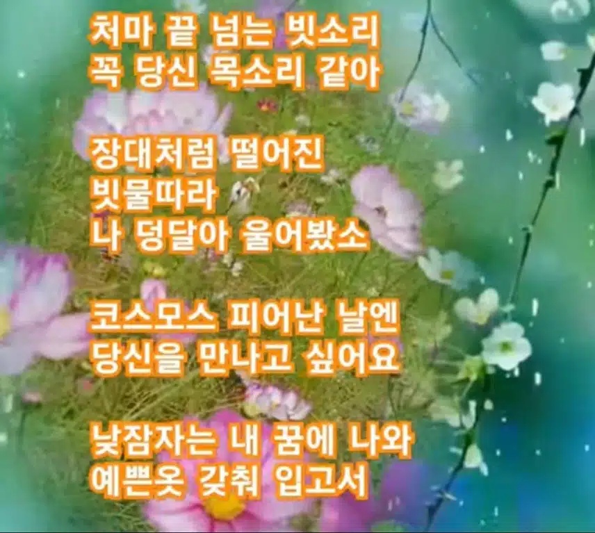 ♥황영웅님과  꽃구경을 떠나려고 합니다