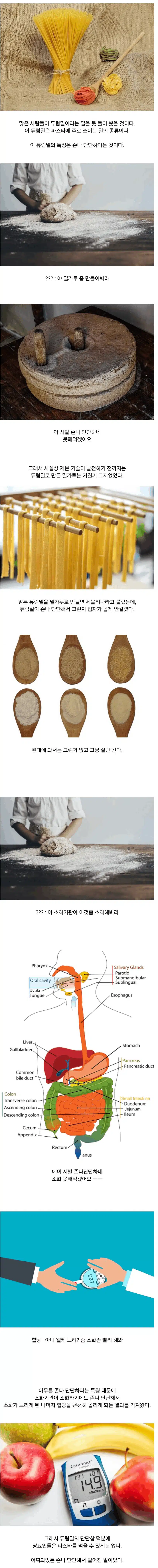 당뇨인들이 파스타는 먹을 수 있는 이유