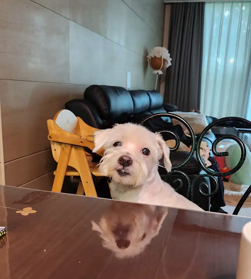 아침밥 먹고 있어요